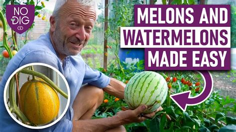 melonsrube|MelonsTube